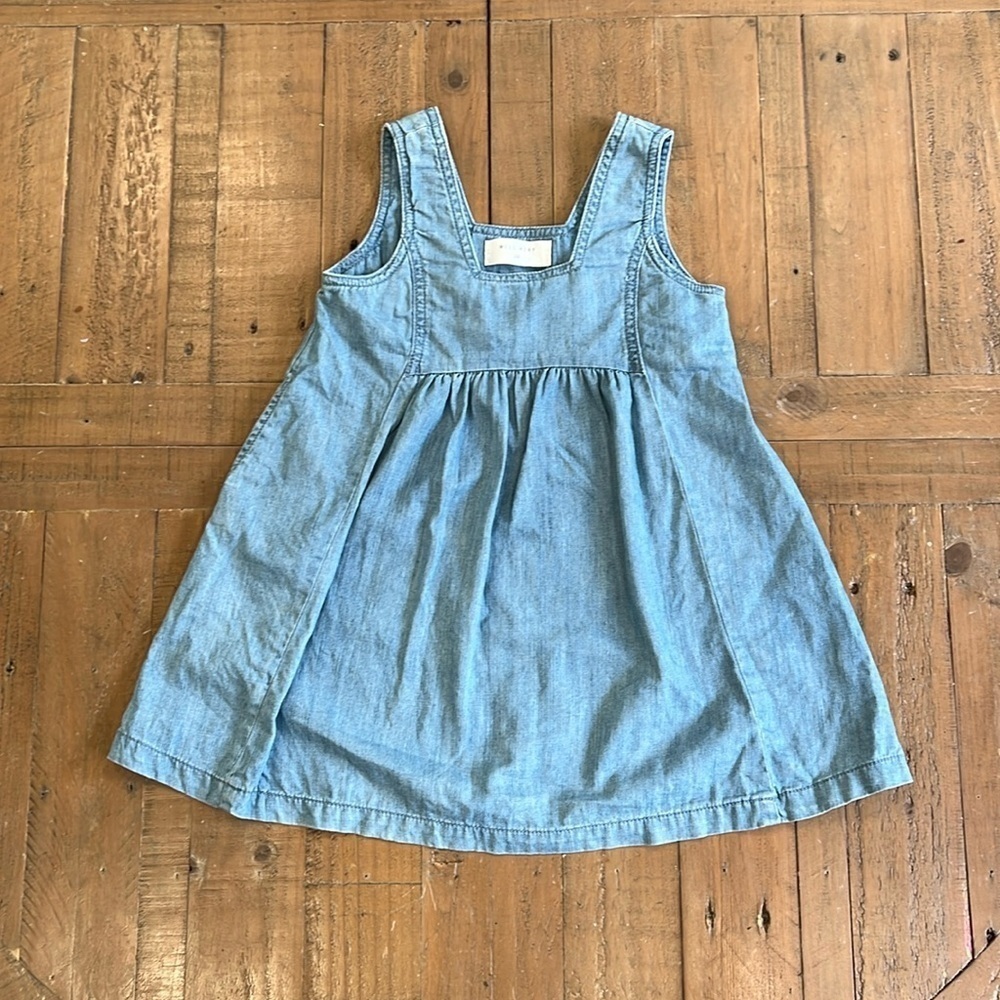 Will mery chambray trapeze dress